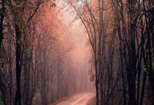 星空体育官网：记者：解约金太高，波切蒂诺世界杯前回归热刺可能性低.