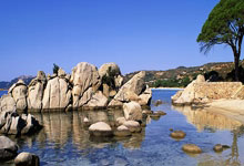 星空体育官网：【体坛名场面】樊振东、许昕、马龙、张继科四人混战，每个人心里想的都是一打三！.